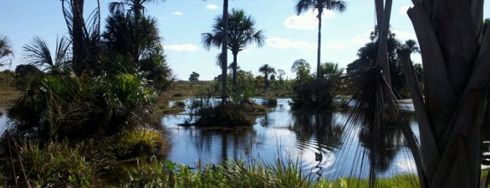 Nova Campo Grande is one of Bairros de Campo Grande.