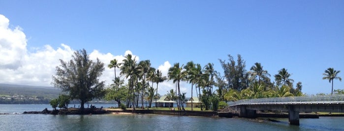 Coconut Island Park is one of Lugares favoritos de Lina.
