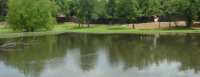 Cliff Nelson Park is one of Fishing.