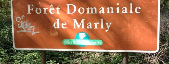 Forêt domaniale de Marly is one of Tempat yang Disukai Gaëlle.