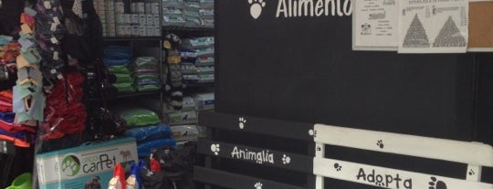 Animalia is one of Mayteさんのお気に入りスポット.