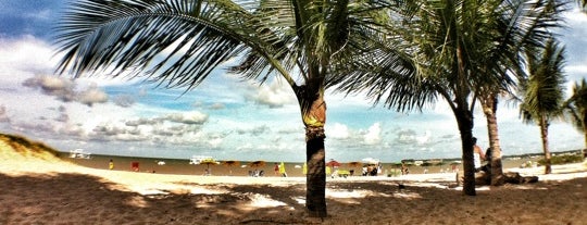 Praia de Tambaú is one of Paraíba.