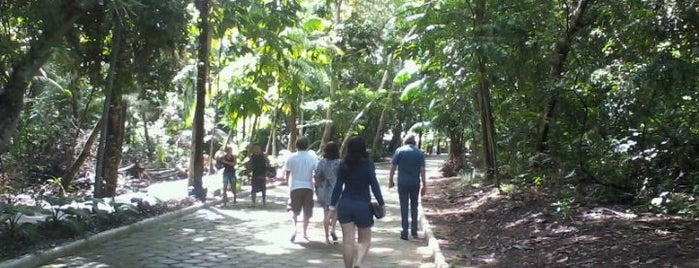Parque Municipal do Mindú is one of Conhecendo Manaus.