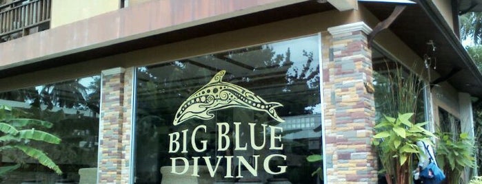 Big Blue Diving Resort is one of Koh Tao Dive operators.
