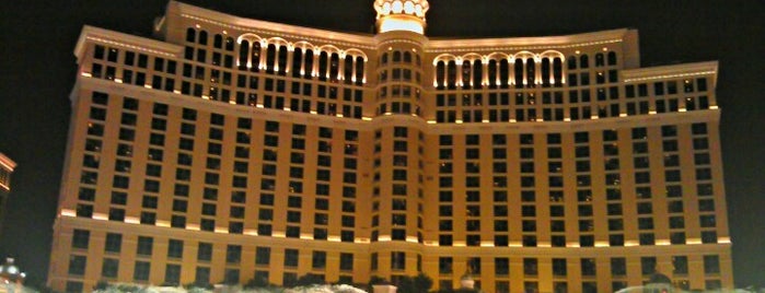 Bellagio Hotel & Casino is one of Places to Go.
