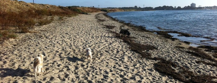 Fiesta Island Dog Park is one of Slightly Stoopid Approved.
