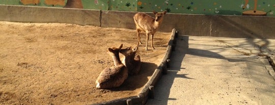 和歌山公園動物園 is one of 動物園.