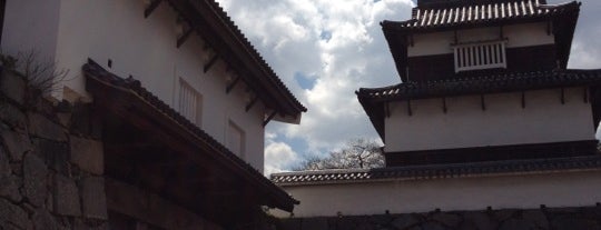 Fukuoka Castle Ruins is one of 日本100名城.