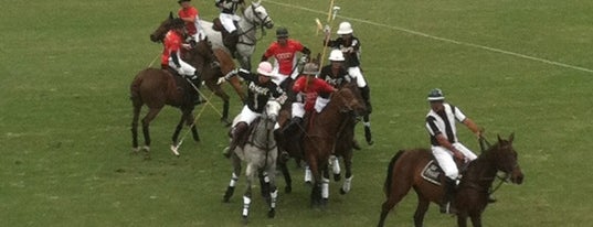 International Polo Club Palm Beach is one of Florida.