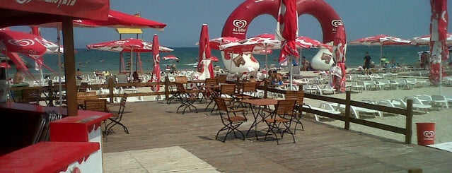 Plaja Algida is one of Must-visit Beaches in Constanța.