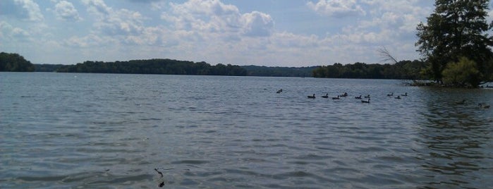 Loch Raven Reservoir Bridge is one of Roads,Bridges,Tunnels,Interstates & Highways.