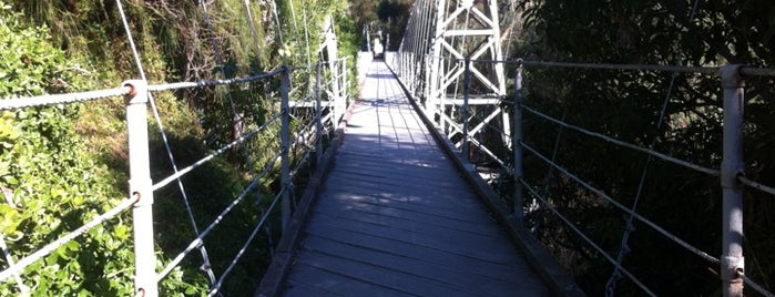 Spruce Street Foot Bridge is one of San Diego.