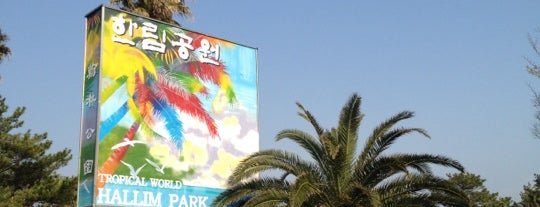 Hallim Park is one of 제주도투어.