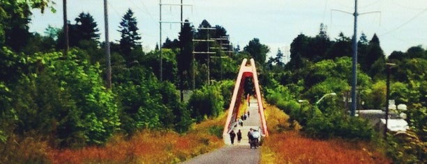 Springwater Corridor-Sellwood Riverfront Park Trailhead is one of Lugares favoritos de Star.