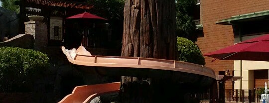 Redwood Pool Slide is one of 33.