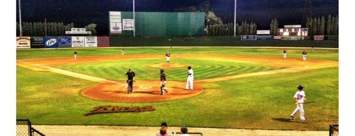 Sam Lynn Ballpark is one of California Minor League Baseball Teams Stadiums.
