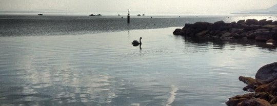 Lac De Neuchâtel - Plage De L'université is one of Genêve/Lausanne/Neuchâtel.