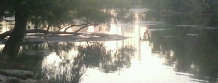 Lady Bird Lake is one of Outdoor Musings.