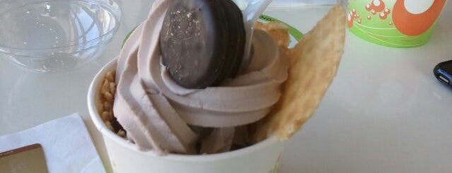 Yoforia is one of In search of the best froyo.