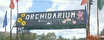 Orchidarium is one of Top Spots in Baguio.