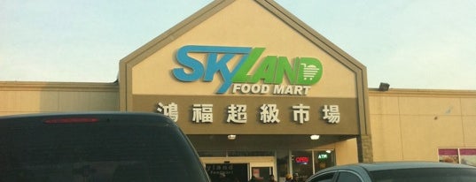Skyland Food Mart is one of Toronto International Food Markets - GTA.