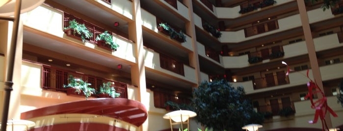 Embassy Suites by Hilton is one of Bonnaroo 2013.