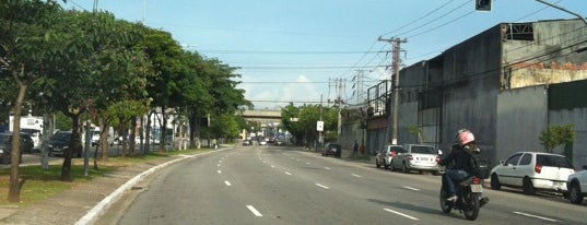 Avenida Zaki Narchi is one of Locais curtidos por Steinway.
