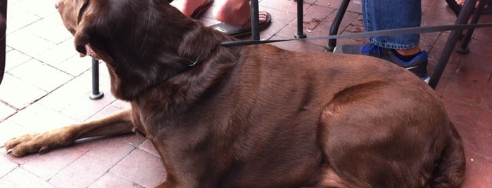 Huey's Southern Cafe is one of Dog friendly spots.