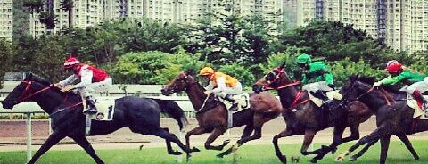 Sha Tin Racecourse is one of Hong Kong 2020.