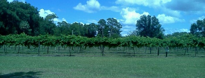 Log Cabin Vineyard and Winery is one of Florida Grape Growers Association Winery List.