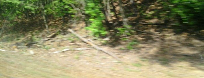 Stone Mountain Freeway is one of Tempat yang Disukai Chester.