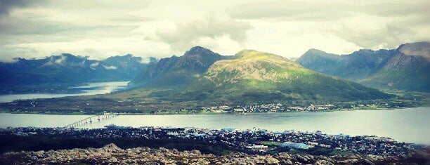 Steiroheia/ Kvila is one of MountainHikes / Vesteraalen Norway.