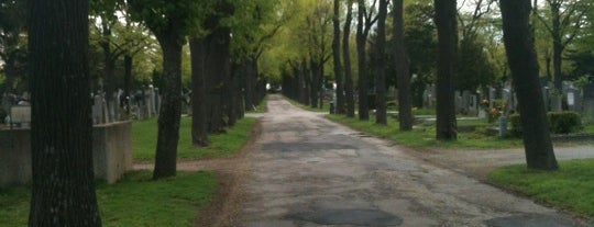 Cementerio central de Viena is one of Vienna Essentials.