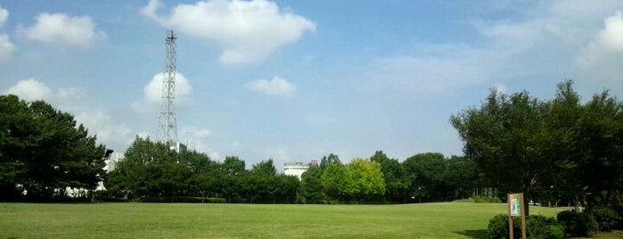 Higashimurayama Chuo Park is one of 公園・庭園巡り.