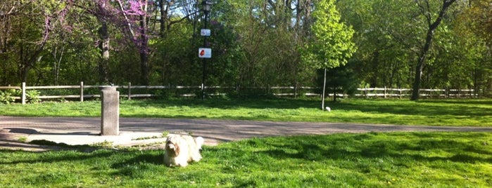 Craigleigh Gardens is one of Toronto Off-Leash Dog Parks.