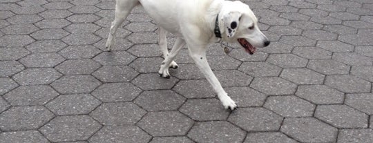 63rd St Dog Run is one of My Good Dog NYC: NYC Dog Runs.