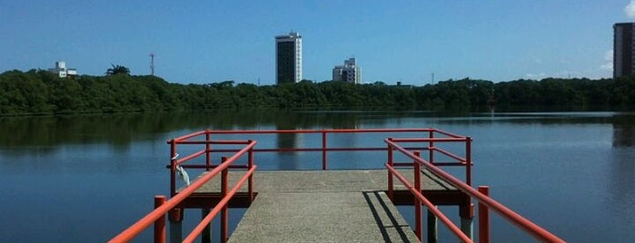 Lagoa do Araçá is one of Lugares a serem visitados.