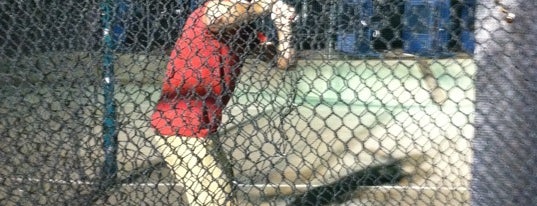 Batting Cages is one of fun things to do.