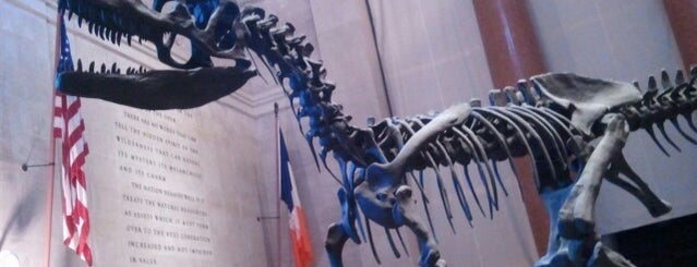 American Museum of Natural History is one of Kids love NYC.