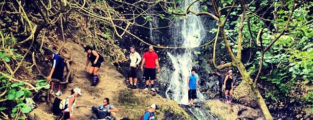 Likeke Falls is one of Not For Tourists Hawaii.