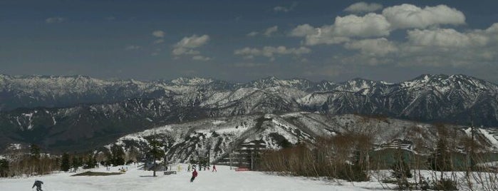 かぐらスキー場 みつまたエリア is one of My favorite Ski Resorts in Japan..