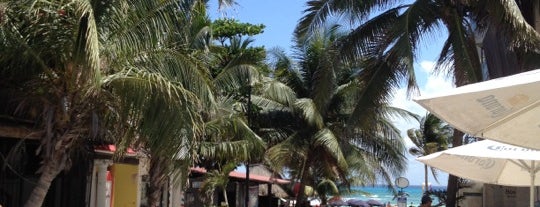 Popol Vuh Restaurante is one of Playa del Carmen.