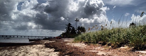 Virginia Key Beach Park is one of Miami's Best Entertainment - 2013.
