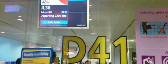 Gate D41 is one of SIN Airport Gates.