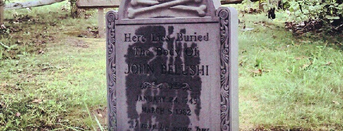 John Belushi Gravesite is one of Martha's Vineyard.