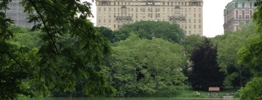 Central Park is one of NYC to do.