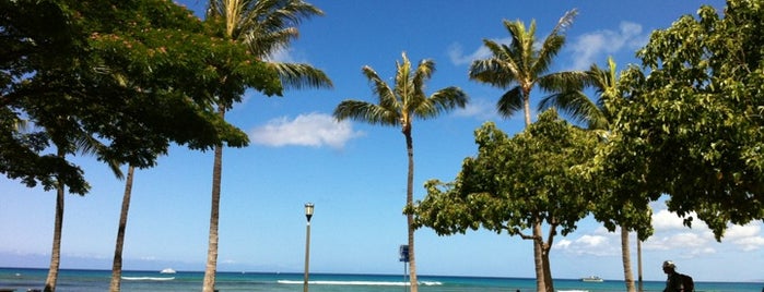Kapiolani Regional Park is one of Travel Guide to Honolulu.