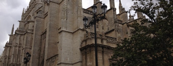Seville Cathedral is one of DIVINE ILLUMINATIONS.