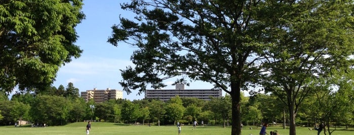 Nanakita Park is one of Posti che sono piaciuti a Gianni.