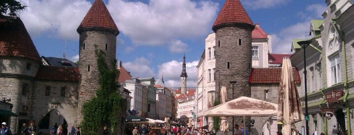 Viru värav is one of Tallinn.
